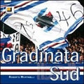 Gradinata sud (econ.)